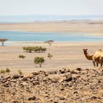 John Karos - @johnkaros12 - Instagram
