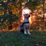 john karsten - @orginal_john - Instagram