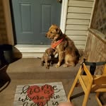John Kaser - @yellowtoast76_ - Instagram