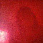 Cameron John Kayser - @snappy_the_frog - Instagram