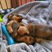 John Kazarian - Facebook