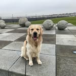 John Keachie - @johnkeachie - Instagram