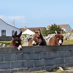 John Keane - @jtmkeane - Instagram