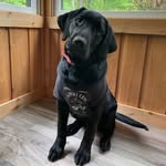 John Keeble - @keeblej_govols - Instagram