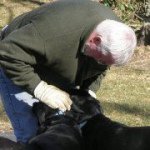John Keefe - @jckeefe1951 - Instagram