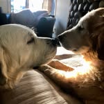 John Keehan - @jpkeehan - Instagram