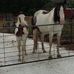 John Keehan - Facebook
