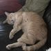John Keeling - Facebook