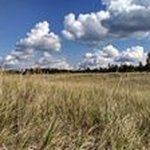 John Keeling - @john_keeling - Instagram