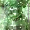 John Keeling - @ilovegummybears1324 - TikTok