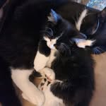 John Keene - @johnkeene67 - Instagram