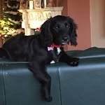 John Keene - @johnkeene1 - Instagram