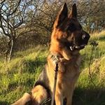 John Kegel - @kegel.john - Instagram