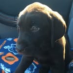 John Keleman - @jk.spam.43 - Instagram