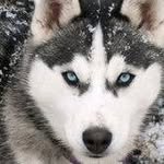 John Kelemen - @kelemenjohn - Instagram