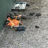 John Kellen - @john.kellen39 - TikTok