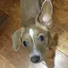 John Kellogg - @john.kellogg30 - TikTok