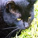 John Kellogg - @kellogg.john - Instagram