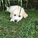 John Kemmer - Facebook