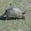 johnkemmerer741 - @johnkemmerer741 - TikTok