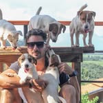 Carlos Henrique - JACK JOHN KENNEL - @jackrussellfranca - Instagram