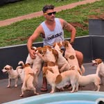 JACK JOHN KENNEL - Carlos Henrique - @jackrussellterrier.franca - Instagram