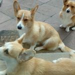 John Kennelly - @john.kennelly.3781 - Instagram