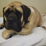 john kennelly - @john_kennelly_ - Instagram