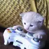 :з - @johnkerlinn - TikTok