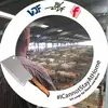 Johannes Kersting477 - @joh.kersting - TikTok