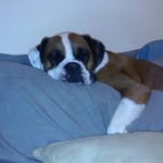 John Keyes - @johnnyiron7 - Instagram