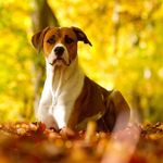 John Keyser - @john.keyserlachica - Instagram