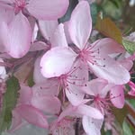 John f. kidney - @johnf.kidney - Instagram