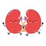 John Kidney - @your_kidney_pal - Instagram