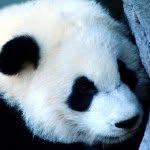 Jond - @johnkidney - Instagram