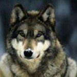 John L. Kienzle - @larth.kienzle - Instagram