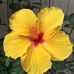 John Killeen - Facebook