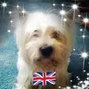 John Killeen - @john.killeen61 - TikTok