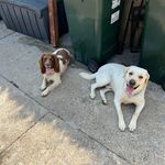 John Killilea - @jk1972 - Instagram