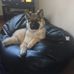 John Kilpatrick - Facebook
