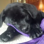 John Kinghan - @kinghanj - Instagram