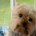 John Kinker - Facebook