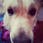 John Kinnard - @kinnard150 - Instagram