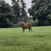 John Kinnard - Facebook