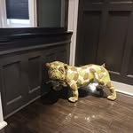 John Kinney - @johnkinney634 - Instagram