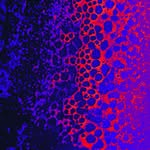 John D. Kinsman - @john_kinsman - Instagram