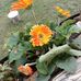 John Kirk - Facebook