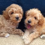 John Kirkpatrick - @kirkpatrick4492 - Instagram