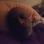 john kirven - @john.kirven - Instagram