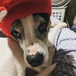 John Kiser - @johnnyk0638 - Instagram